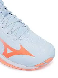 V1GC2665-84 1