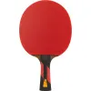Ракетка для н/т DOUBLE FISH 7A+C, для професс.,ITTF Appr.,накл.2,1мм,+ 2 мяча V40+мм ITTF Appr за 3&nbsp;559.80 ₽ купить в Череповеце
