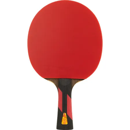Ракетка для н/т DOUBLE FISH 7A+C, для професс.,ITTF Appr.,накл.2,1мм,+ 2 мяча V40+мм ITTF Appr за 3&nbsp;559.80 ₽ купить в Череповеце