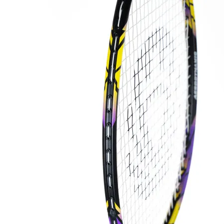 Ракетка бадм. TORRES Carbon PRO6, BD20521,для продв., стерж/обод из карбона,со струнами, фиол за 4&nbsp;477.80 ₽ купить в Череповеце