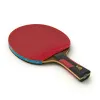 Ракетка для н/т DOUBLE FISH 7A+C, для професс.,ITTF Appr.,накл.2,1мм,+ 2 мяча V40+мм ITTF Appr за 3&nbsp;559.80 ₽ купить в Череповеце