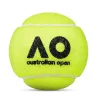 Мяч теннисный Dunlop Australian Open, 601601, уп..3 шт, одобр.ITF,фетр,нат.резина, желтый за 1&nbsp;171.30 ₽ купить в Череповеце