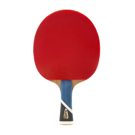 Ракетка для н/т DOUBLE FISH 5A+C, для продвин, ITTF Appr, накл. 2,1 мм, конич. ручка+ 2 мяча V40+мм за 2&nbsp;779.50 ₽ купить в Череповеце