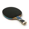 Ракетка для н/т DOUBLE FISH 5A+C, для продвин, ITTF Appr, накл. 2,1 мм, конич. ручка+ 2 мяча V40+мм за 2&nbsp;779.50 ₽ купить в Череповеце