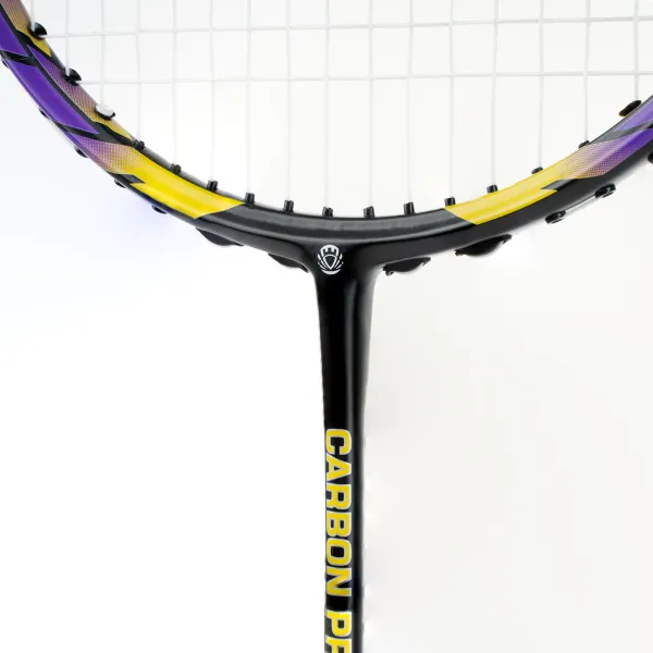 Ракетка бадм. TORRES Carbon PRO6, BD20521,для продв., стерж/обод из карбона,со струнами, фиол за 4&nbsp;477.80 ₽ в Череповеце