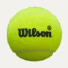 Мяч для падела Wilson Premier Padel Speed, WR8908501001, уп.3 шт, FIP Appr.,сукно, нат.резина,желтый за 1&nbsp;235.90 ₽ купить в Череповеце