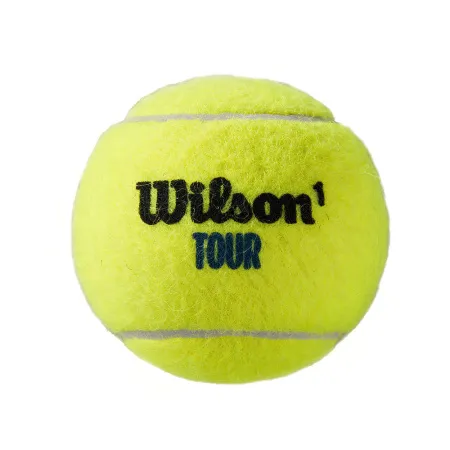 Мяч теннисный WILSON Tour Premier All Court, WRT119400, одобр.ITF, фетр, нат.резина,. уп.4 шт за 1&nbsp;676.20 ₽ купить в Череповеце