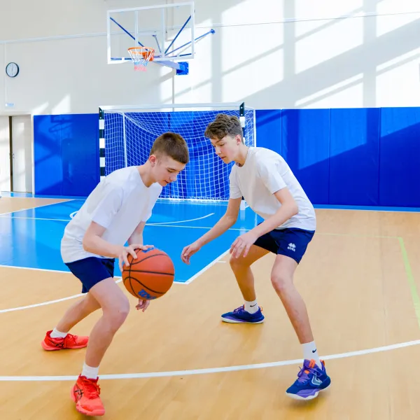 Щит баскетбольный игровой (монолитный поликарбонат) 1050х1800 мм ZAVODSPORTA за 47&nbsp;600 ₽ в Череповеце
